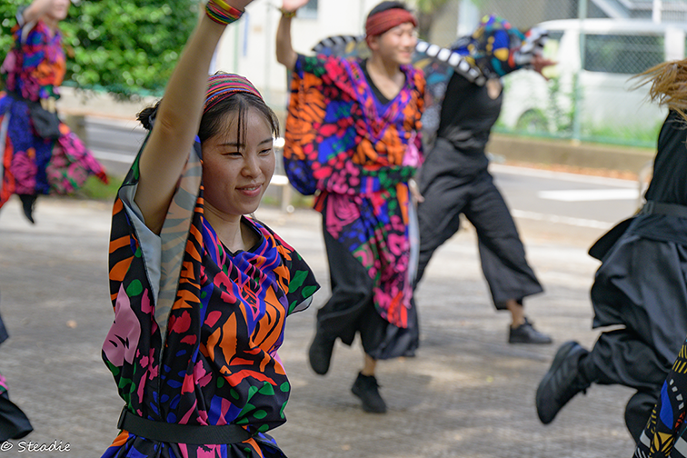 すずの活動写真