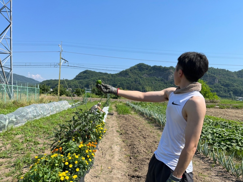 もてきの活動写真