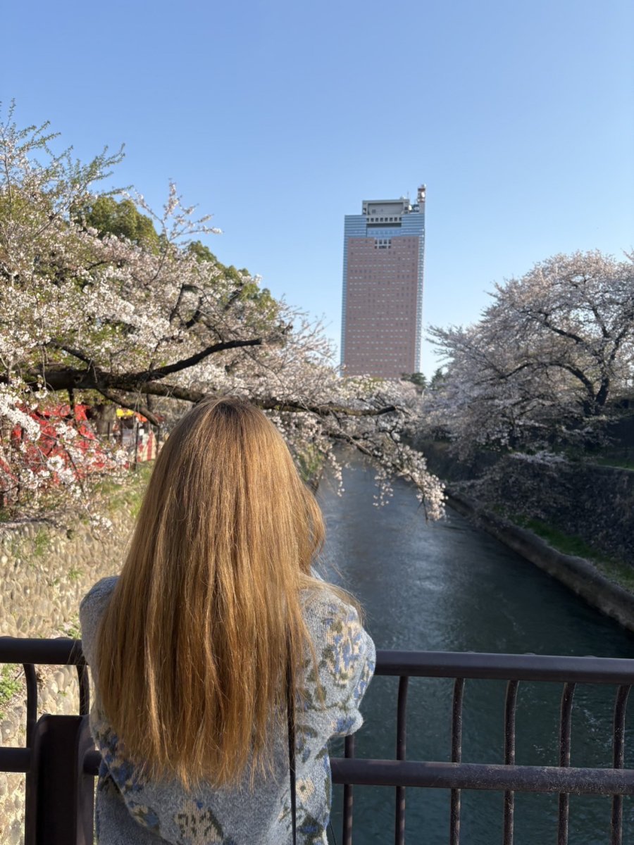 あおいの活動写真